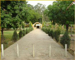 delhi-gurdwara-05